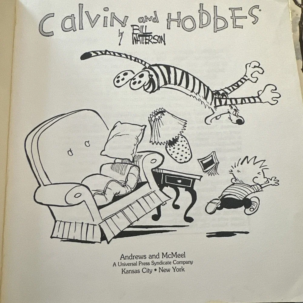 Calvin and Hobbes: A Calvin and Hobbes 2 Children's graphic novel Books